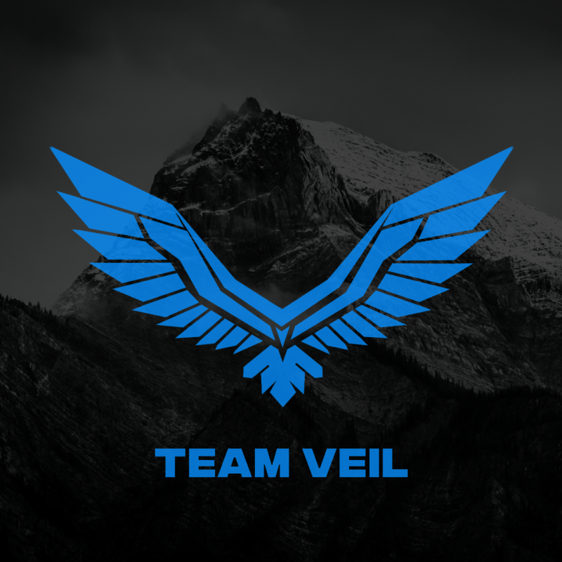 Team Veil Subscription