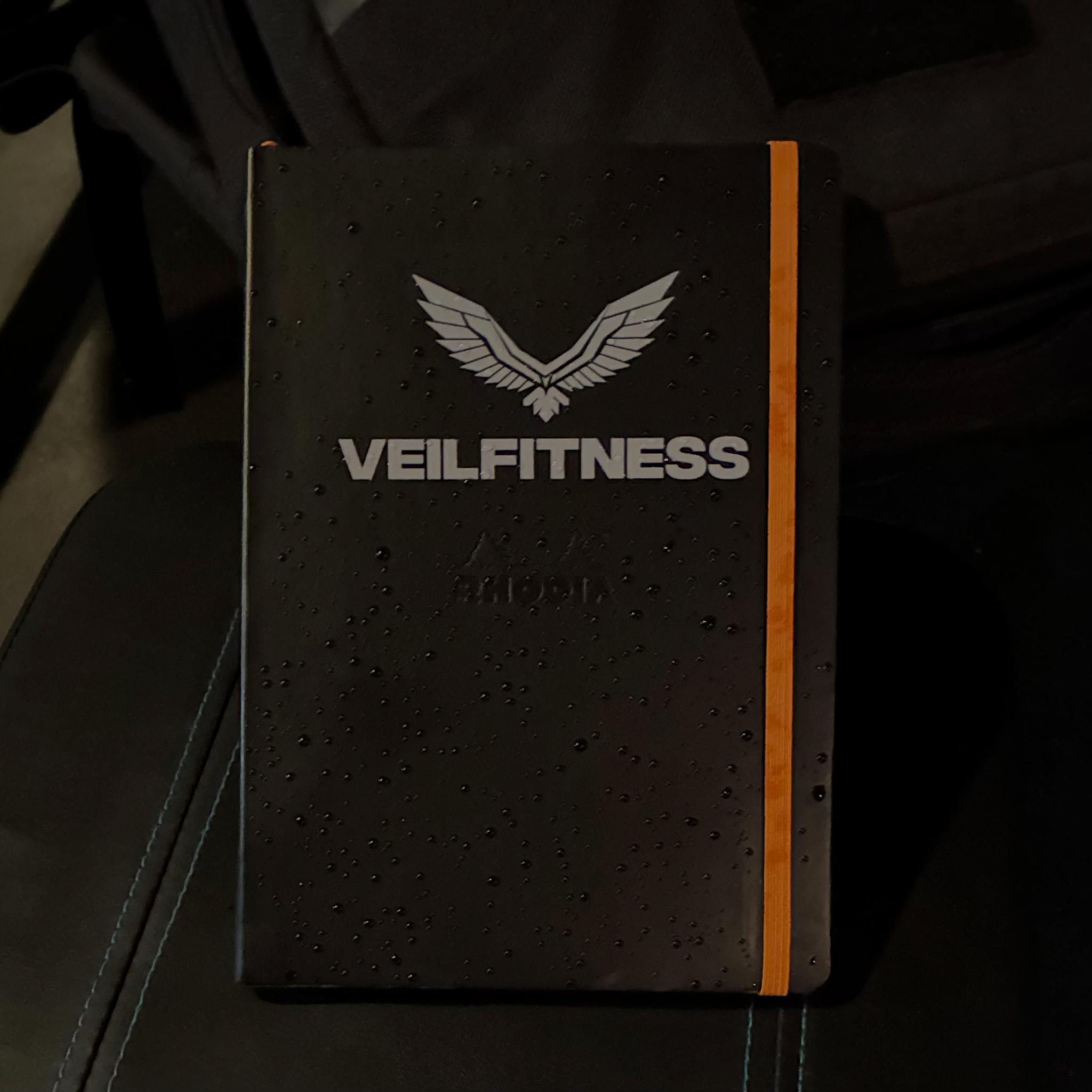 Veil Training Journal - Image 2